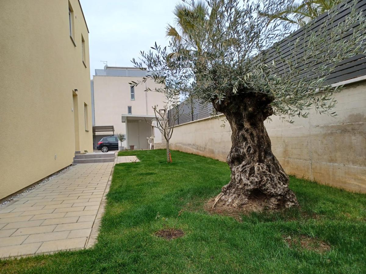 Apartments Leon 1 Novigrad  Zewnętrze zdjęcie